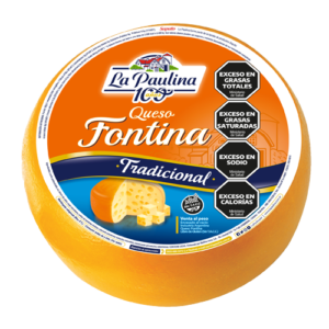 queso fontina